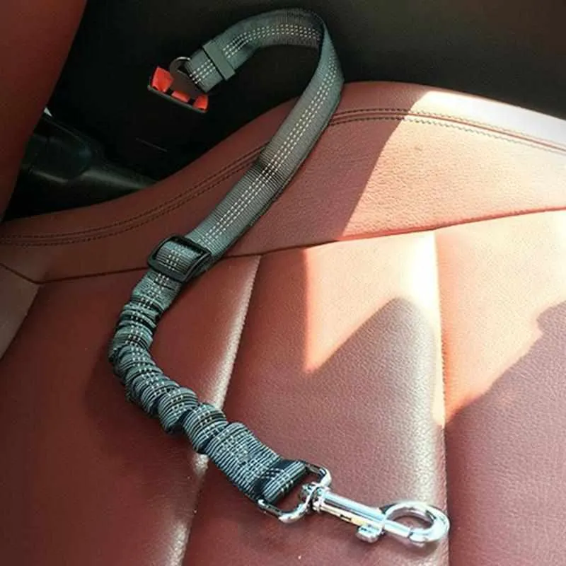 Elastischer Auto / PKW Seguridad para perros