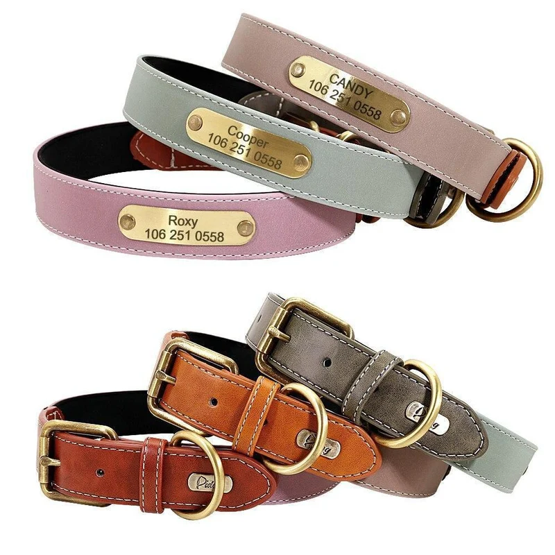 Wunderschönes Reflektions Hundehalsband mit Namen graviert