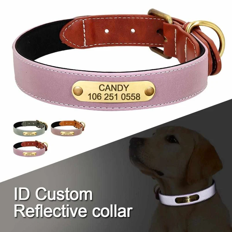Wunderschönes Reflektions Hundehalsband mit Namen graviert