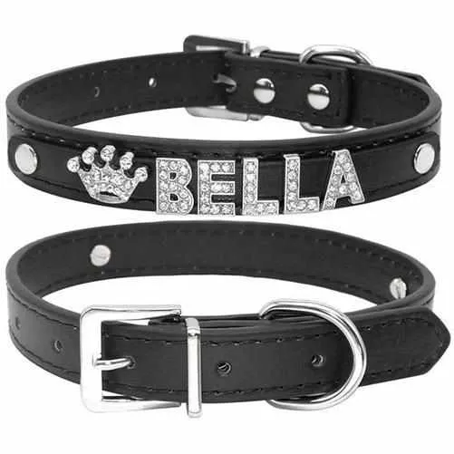 Edles Hundehalsband personalizado con Glitzersteinen + Símbolo
