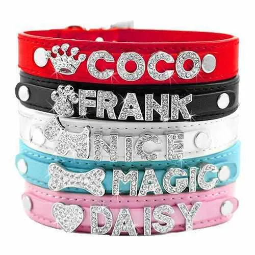Edles Hundehalsband personalizado con Glitzersteinen + Símbolo