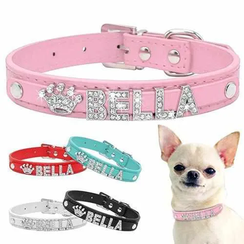 Edles Hundehalsband personalizado con Glitzersteinen + Símbolo