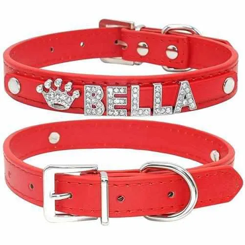 Edles Hundehalsband personalizado con Glitzersteinen + Símbolo