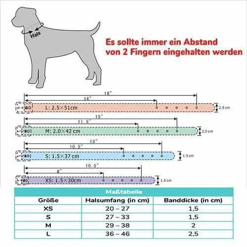 Edles Hundehalsband personalizado con Glitzersteinen + Símbolo