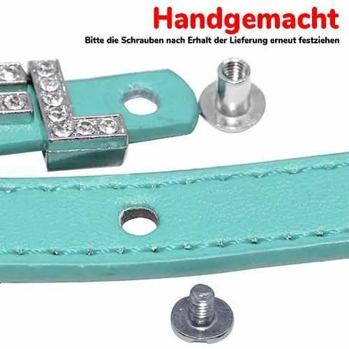 Edles Hundehalsband personalizado con Glitzersteinen + Símbolo