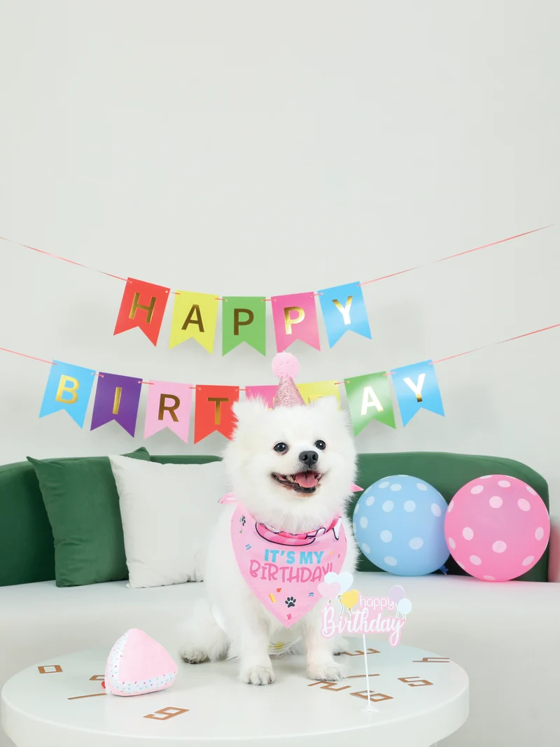 PARTY TIME DOG Lady's set