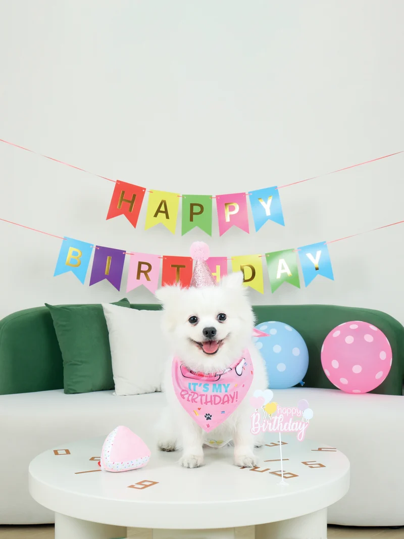 PARTY TIME DOG Lady's set