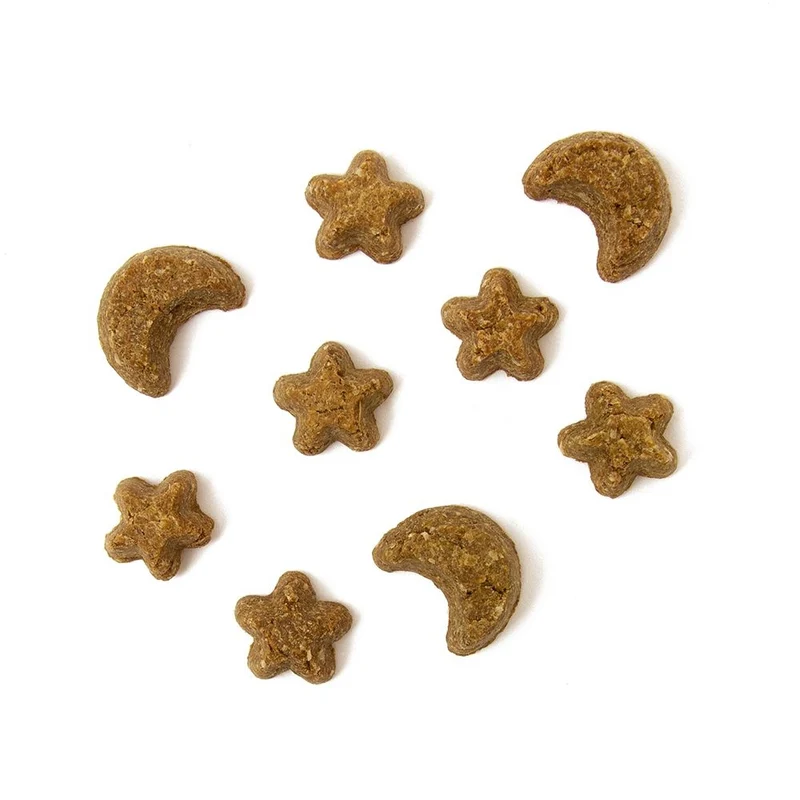 YORA Insectos Snack Dreamers