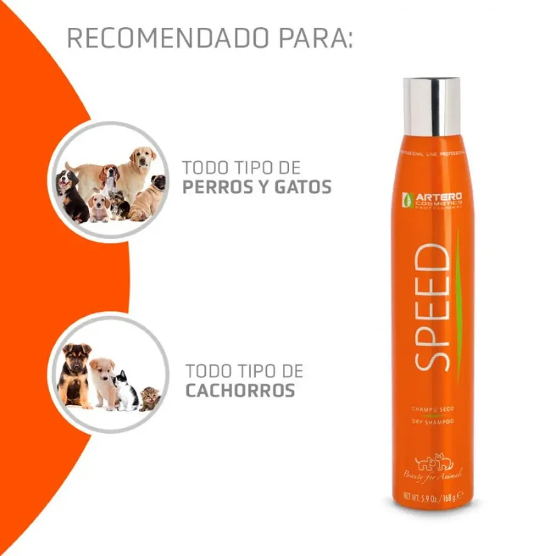 Champú Seco Higiene Speed 300 ml Artero