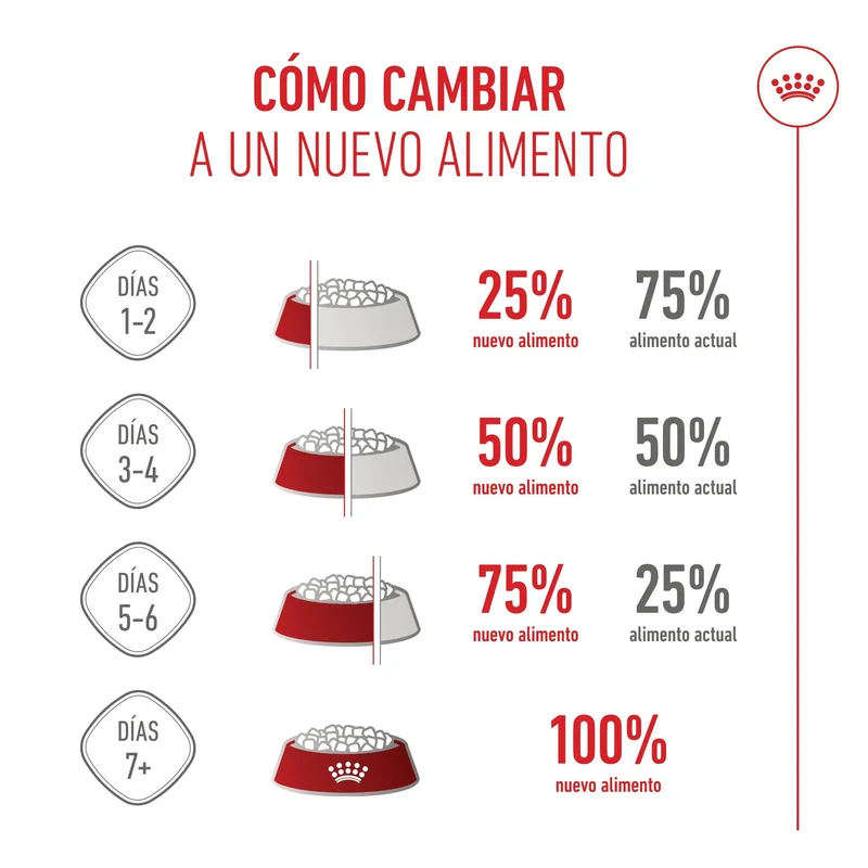 Royal Canin Mother & Babycat 195 g Mousse para Gatitos y Gatas Embarazadas o en Lactancia