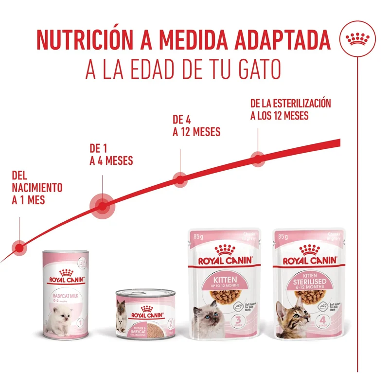 Royal Canin Mother & Babycat 195 g Mousse para Gatitos y Gatas Embarazadas o en Lactancia
