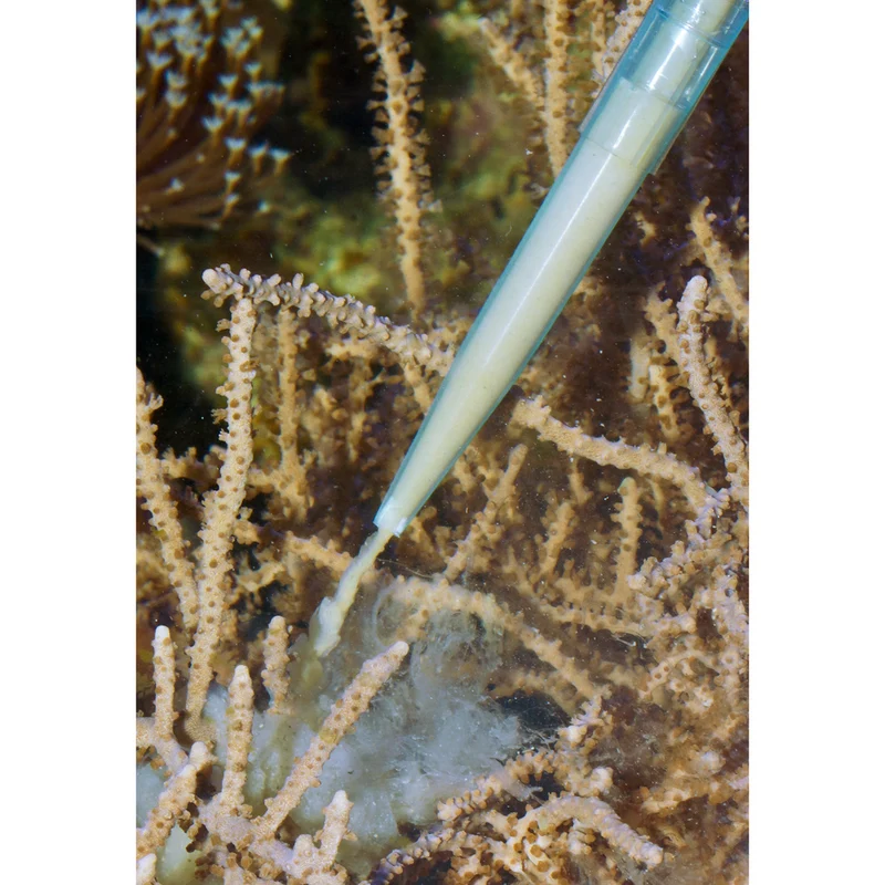 Aqua Medic Pipette Fish Feeder For Aquarium 35cm