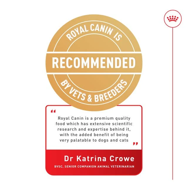 Royal Canin Digestive Care In Loaf Wet Dog Food 85G