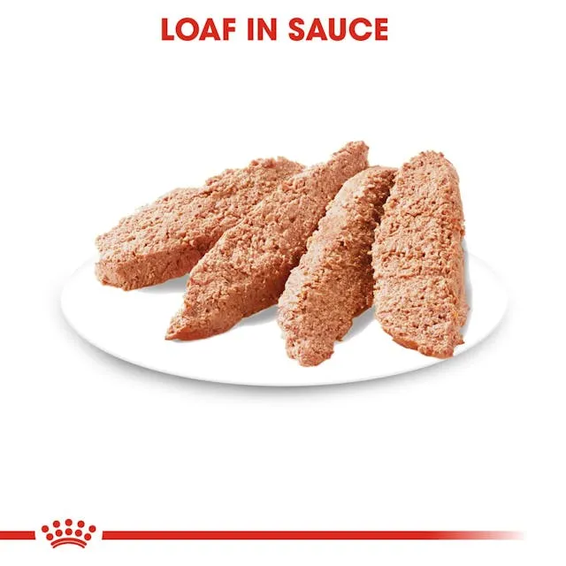 Royal Canin Digestive Care In Loaf Wet Dog Food 85G