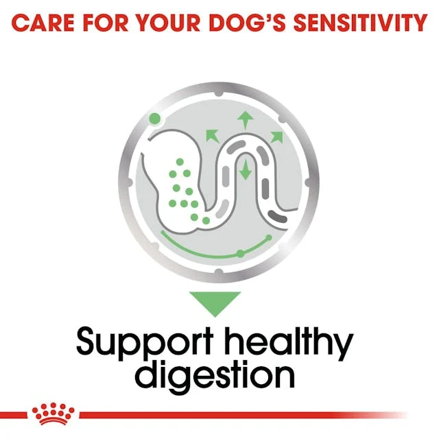 Royal Canin Digestive Care In Loaf Wet Dog Food 85G
