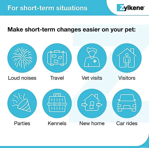 Vetoquinol Zylkene Supplement for Small Dogs & Cats 10 Capsules 75mg