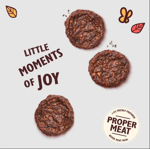 Lily's Kitchen The Best Ever Beef Mini Burgers Dog Treats 70G
