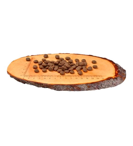 Carnilove Reindeer for Adult Dog Dry Food