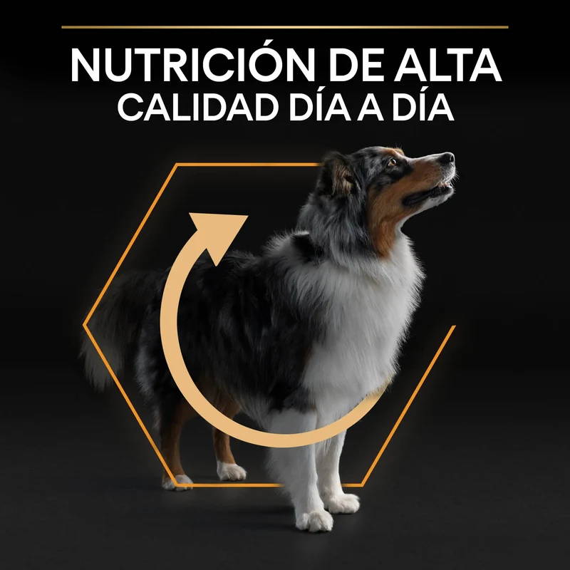 Pro Plan Dog Medium Adult Pollo 3 kg