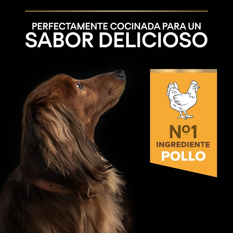 Pro Plan Dog Small Y Mini Adult Agedefen 9+ Pollo 3 kg