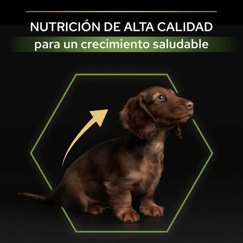 Pro Plan Dog Puppy Small y Mini Start Pollo Pienso para Cachorros