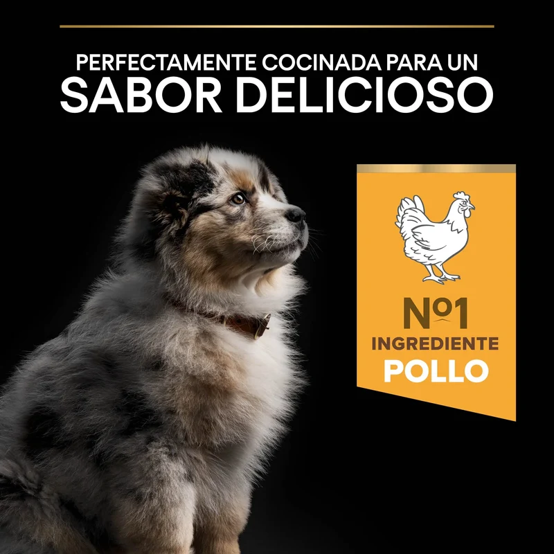 Pro Plan Dog Medium Puppy Start Pollo Pienso para Cachorros