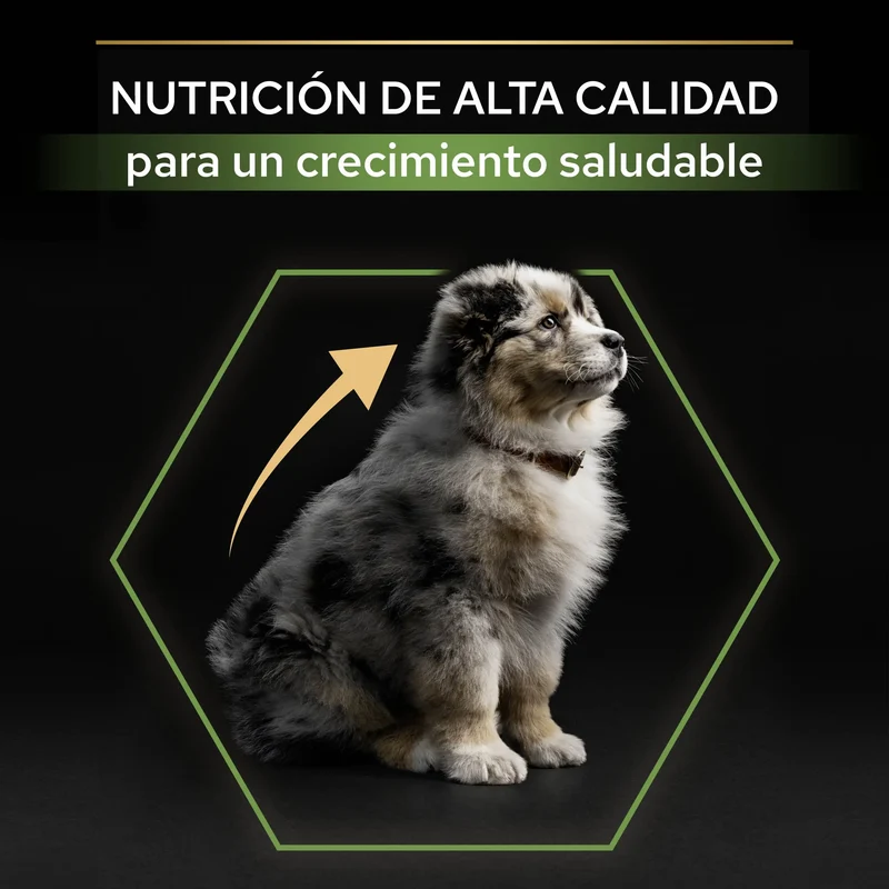 Pro Plan Dog Medium Puppy Start Pollo Pienso para Cachorros