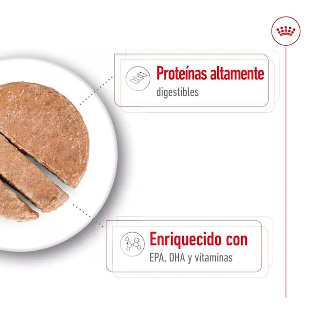 Royal Canin Maxi Ageing 410 g lata perro húmedo