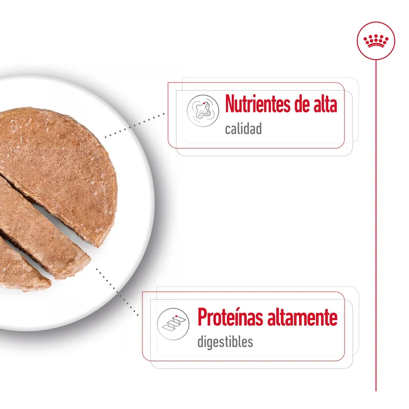 Royal Canin Maxi Adult Lata 410 g Paté Húmedo para Perros