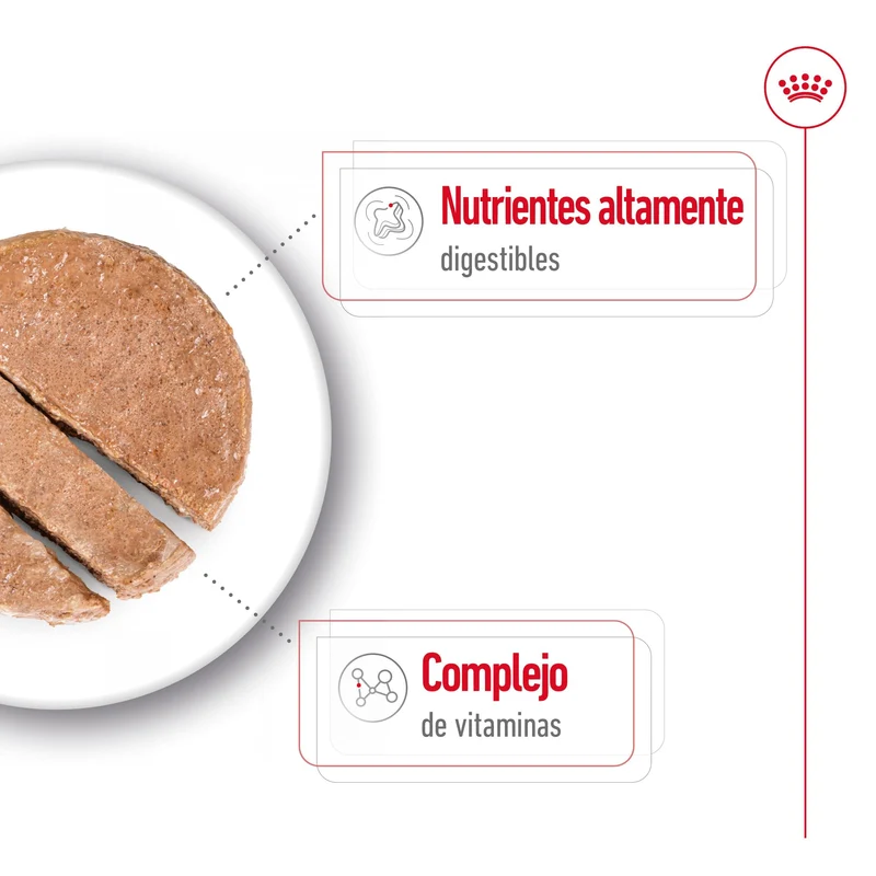 Royal Canin Mini Adult Lata 195 g Paté Húmedo para Perros