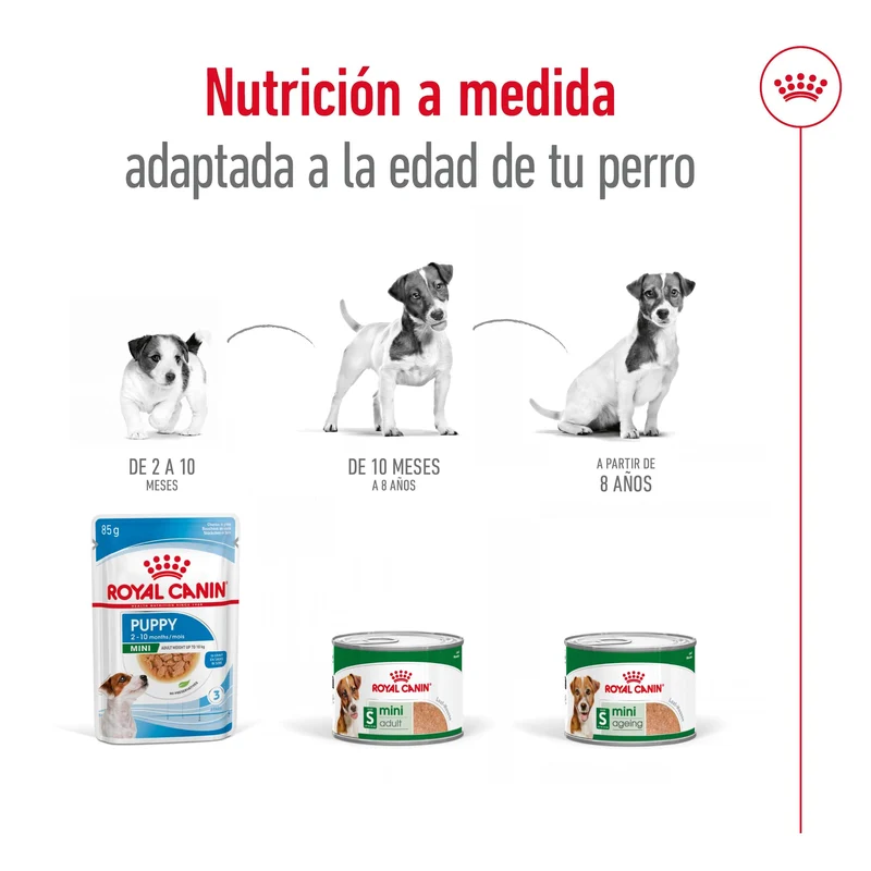 Royal Canin Mini Adult Lata 195 g Paté Húmedo para Perros