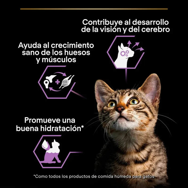 Pro Plan Cat Sobre Kitten Pavo 85 g