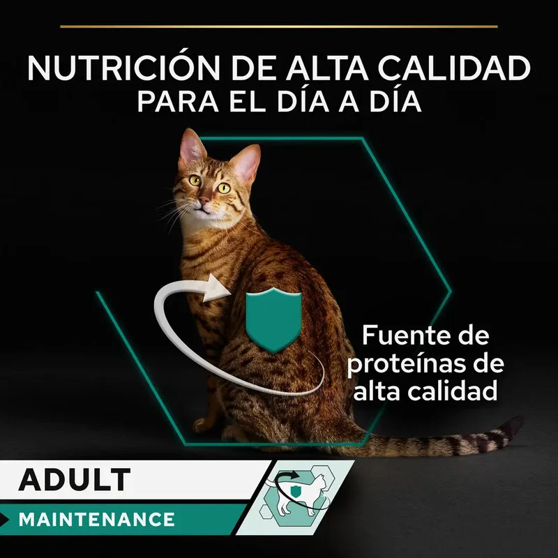 Pro Plan Cat Lata Adult Pollo 85 g