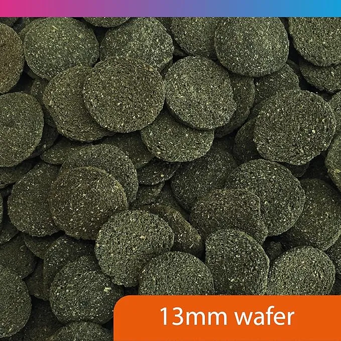 NT Labs Algae Wafers Fish Food