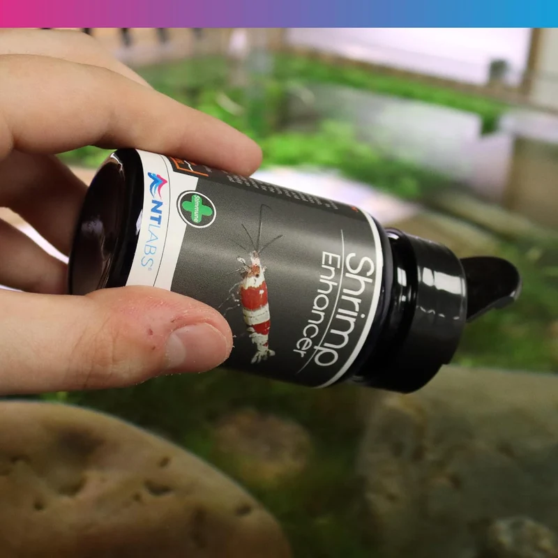 NT Labs Pro-f Shrimp Enhancer Fish Food 40G