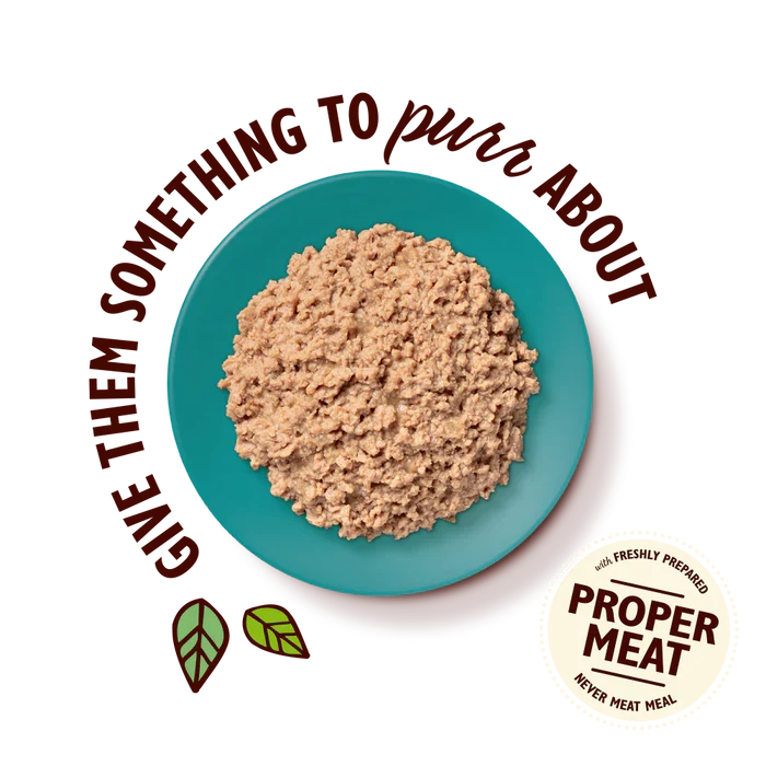 Lily's Kitchen Organic Fish Pate Wet Cat Food
