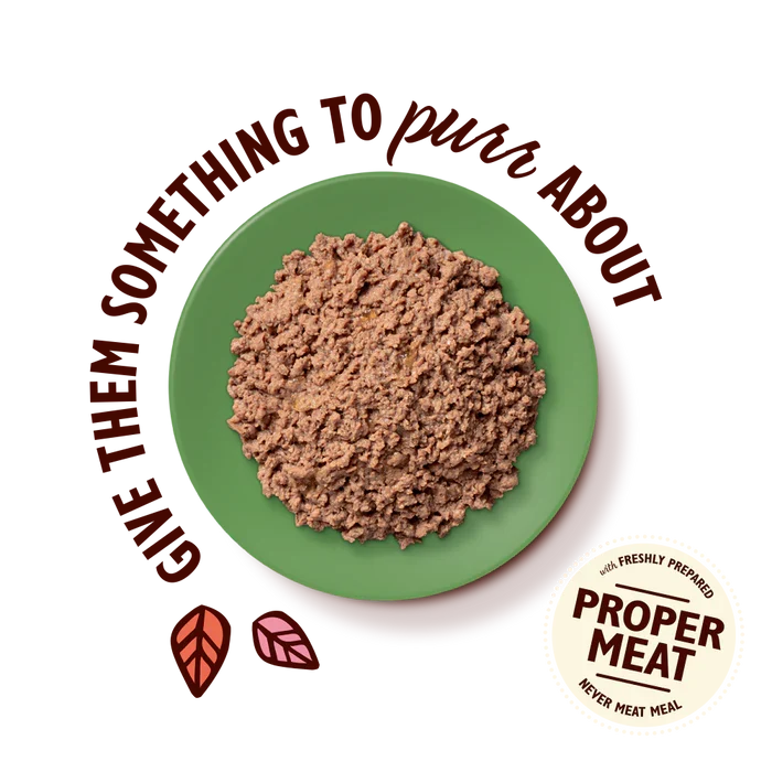 Lily's Kitchen Lamb Pate Wet Cat Food