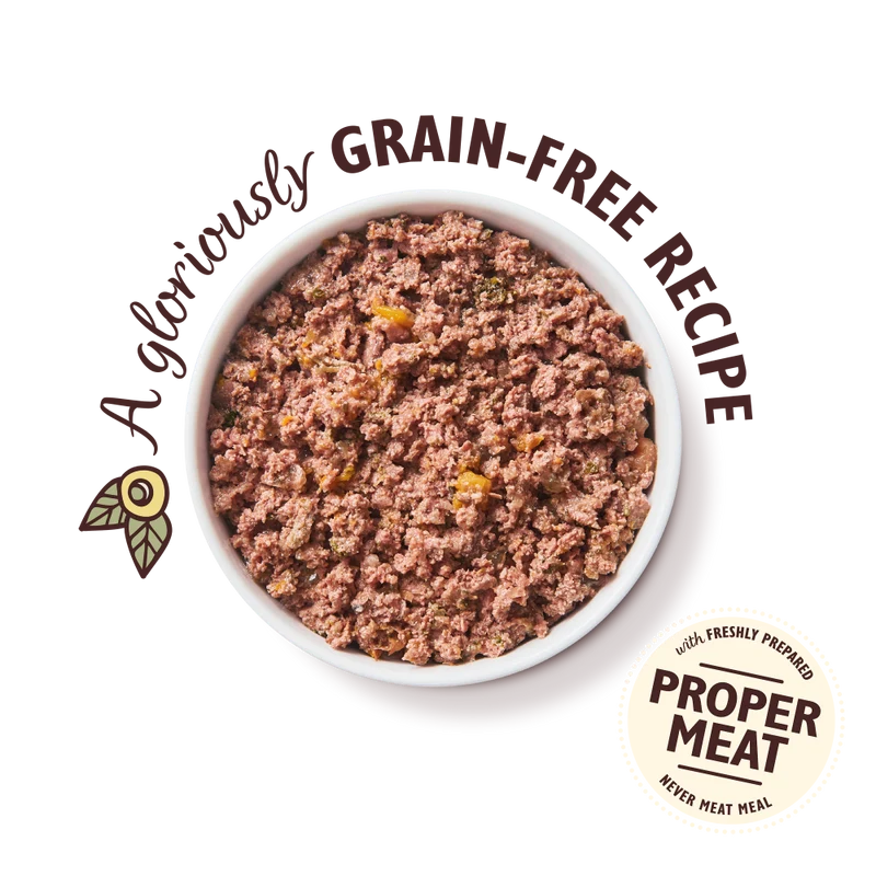 Lily's Kitchen Coronation Chicken Wet Dog Food