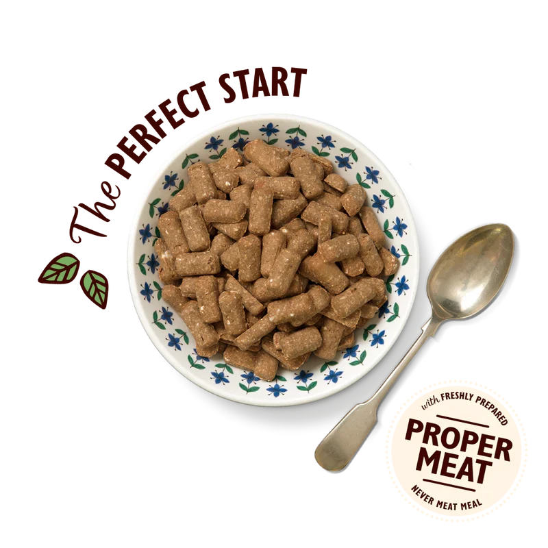 Lily's Kitchen Breakfast Crunch Dry Dog Food 800G