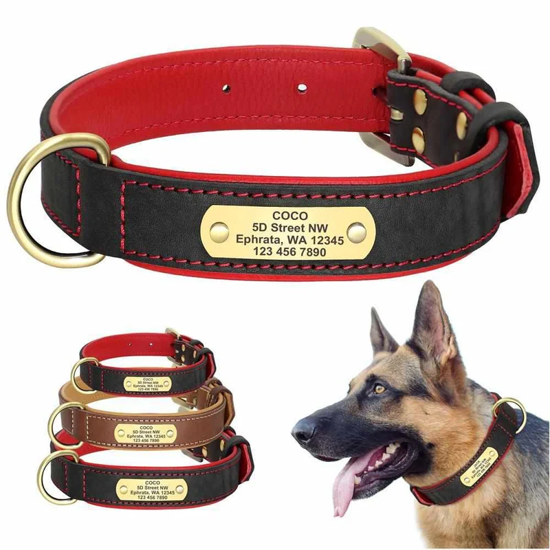 Exclusivos Leder Hundehalsband mit Namen und Telefon graviert