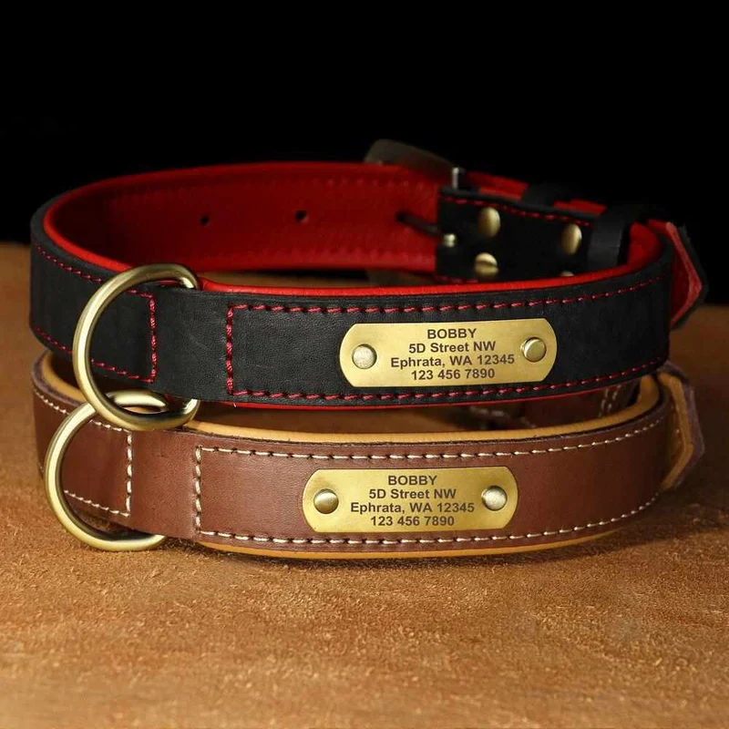 Exclusivos Leder Hundehalsband mit Namen und Telefon graviert