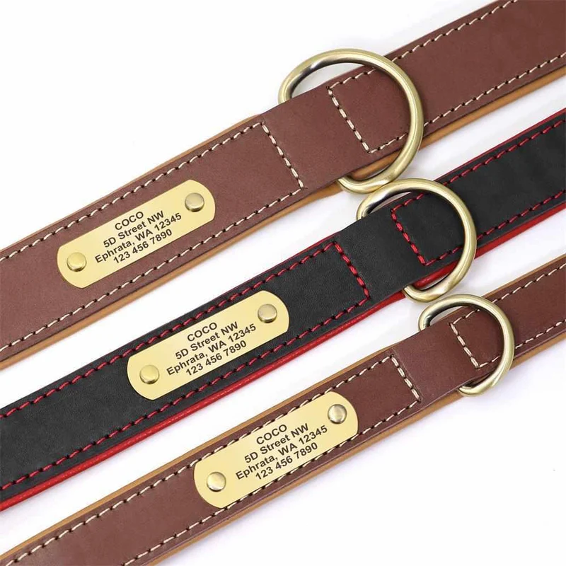 Exclusivos Leder Hundehalsband mit Namen und Telefon graviert