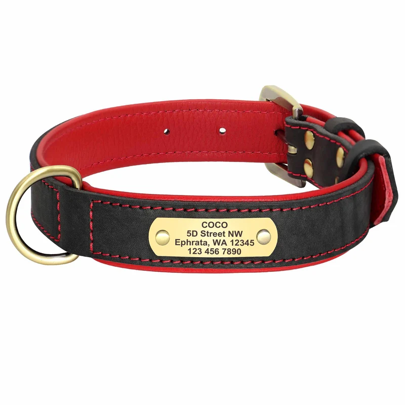 Exclusivos Leder Hundehalsband mit Namen und Telefon graviert