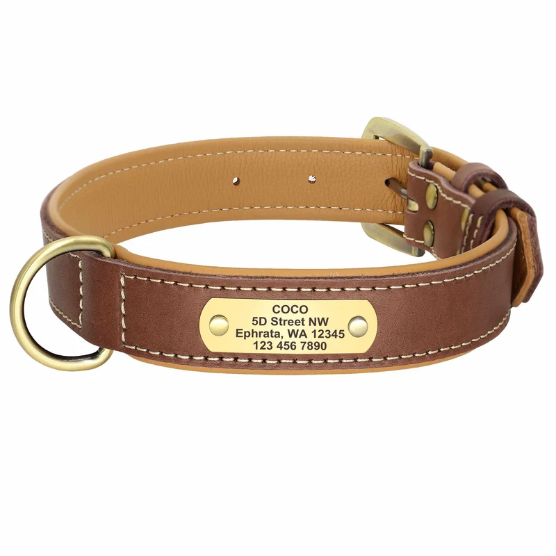 Exclusivos Leder Hundehalsband mit Namen und Telefon graviert