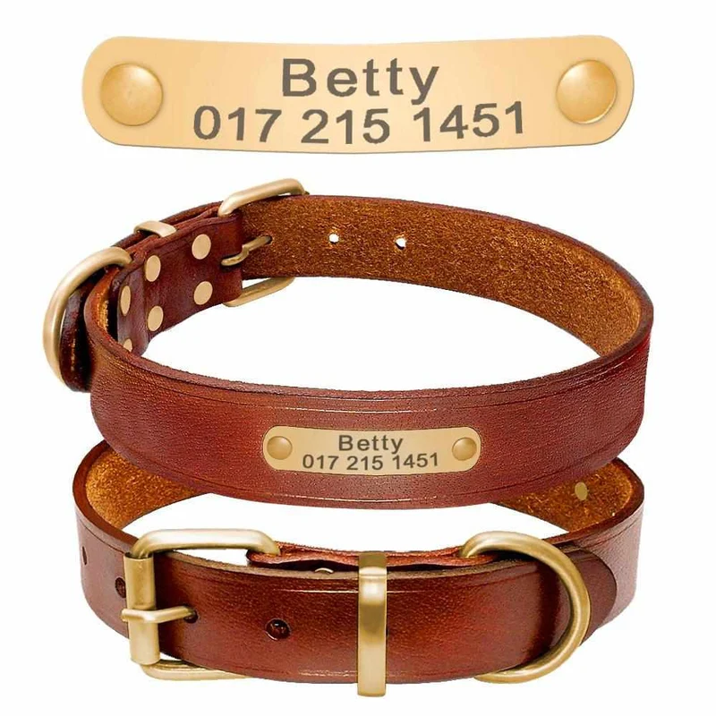 Leder Hundehalsband mit goldfarbener Marke, Gravur Name und Telefon