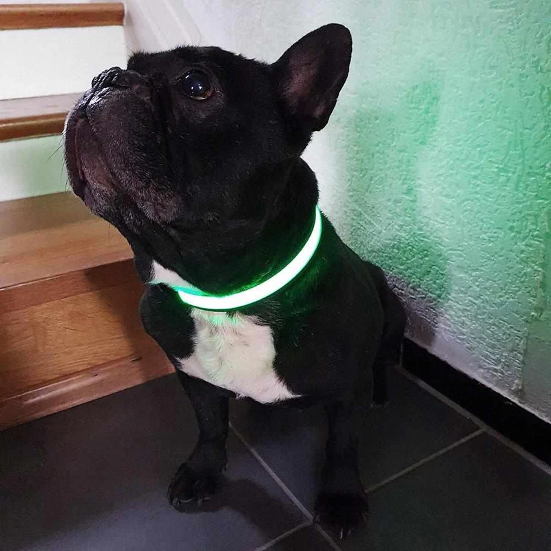 Correa para perros LED, estable de nailon con conexión USB