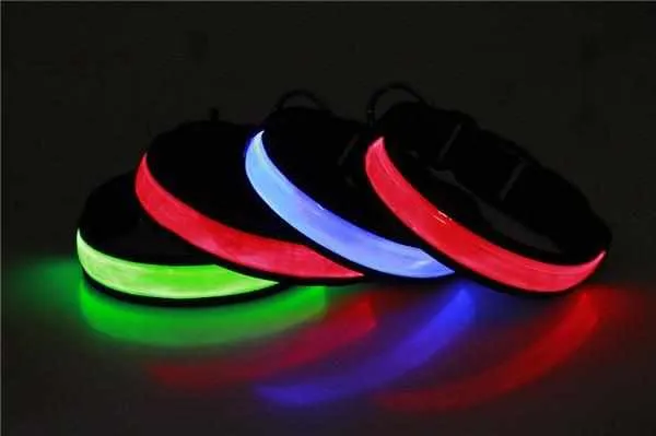 Correa para perros LED, estable de nailon con conexión USB