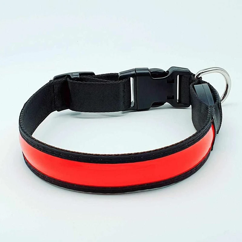 Correa para perros LED, estable de nailon con conexión USB
