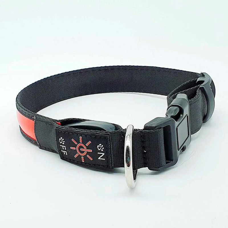 Correa para perros LED, estable de nailon con conexión USB