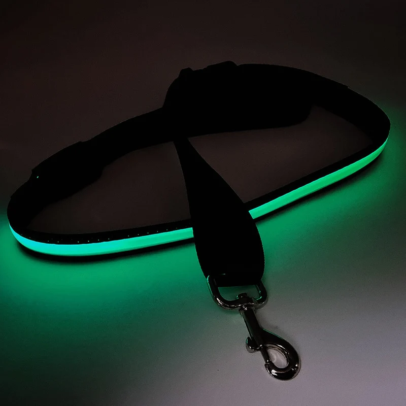 Lámpara LED para perros con USB, 120-150 cm